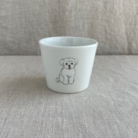 マルチーズフリーカップ