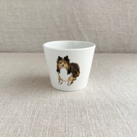 シェルティフリーカップ