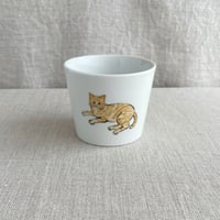 茶トラフリーカップ