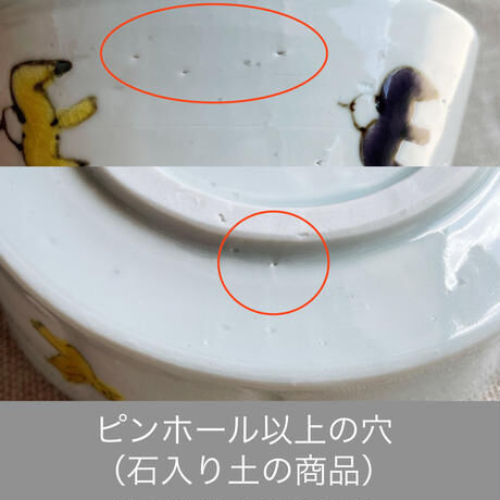 色絵花実文小丼