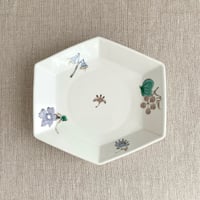 色絵花実文変形六角深皿