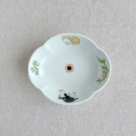 ハチワレ・茶白猫木瓜鉢