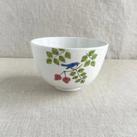 ヒタキとバラの実小丼（ピンク）