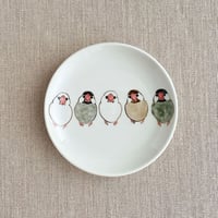 文鳥4寸皿（桜、シナモン、白）