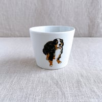 バーニーズマウンテンドッグフリーカップ