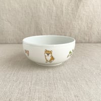 柴犬丸鉢