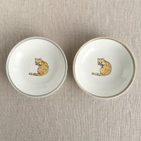 茶白猫取り皿
