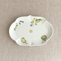 コザクラインコ雲形皿