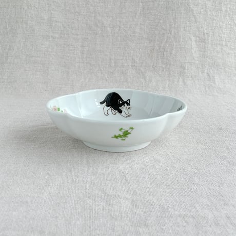 ハチワレ・茶白猫木瓜鉢