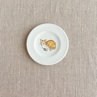 茶白猫豆皿