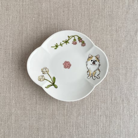 CATEGORY 皿 | nao uchimura 内村七生