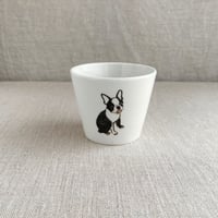 ボストンテリアフリーカップ