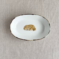 ひるねポメラニアン（クリーム）楕円小鉢