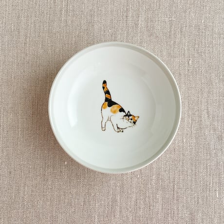 CATEGORY 猫 | nao uchimura 内村七生