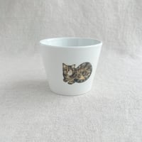 キジトラフリーカップ