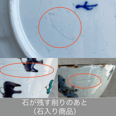 ハチワレ・茶白猫木瓜鉢