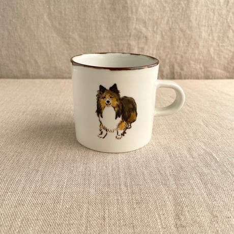 シェルティ | STORES シェルティ | STORES