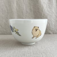 ポメラニアン（クリーム）小丼