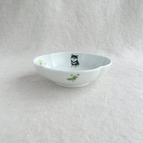 黒柴木瓜鉢