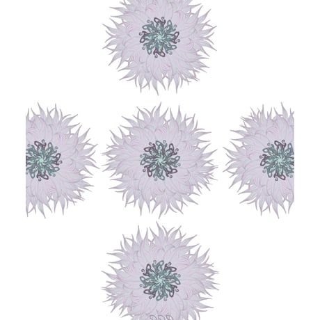 " Cornflower "   -P