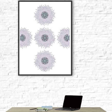 " Cornflower "   -P