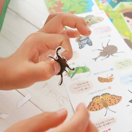 くるっと工作ブック「昆虫：季節の虫をあつめよう」  50冊セット