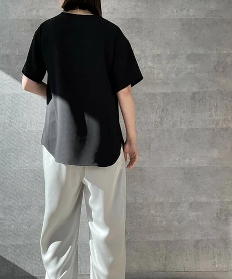 Anna Kerry　アンナケリー　ロゴプリントデシンT　85252705