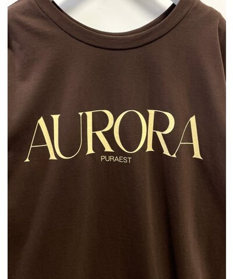 CHIGNON　シニヨン　AURORAロンT 8245-339