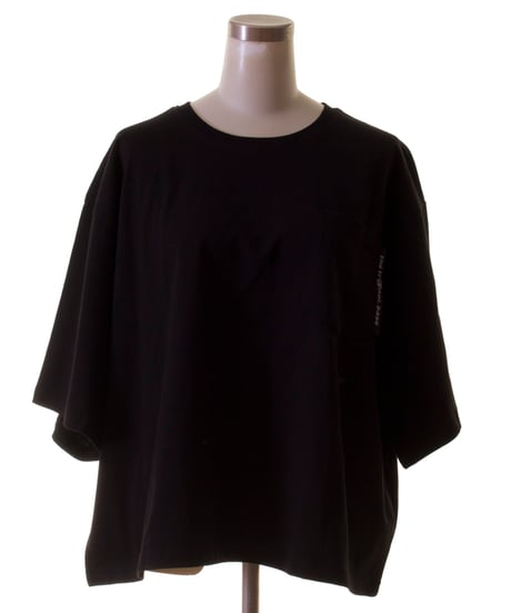 TRANOI.　トラノイ　TIDER　STAR　Tシャツ　211J208
