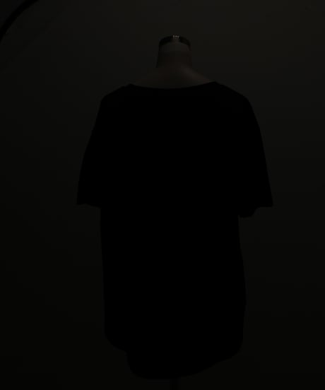 Anna Kerry　アンナケリー メタリックプリントTシャツ 85262903 (2026NEWARIIVAL)