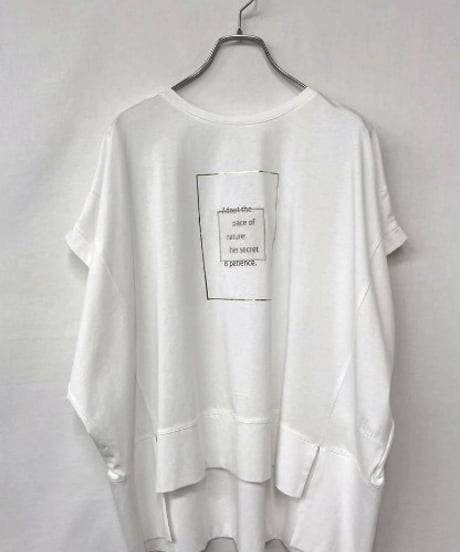 PASSIONE パシオーネ スクエアロゴTEE 26938 2026NEWARIIVAL