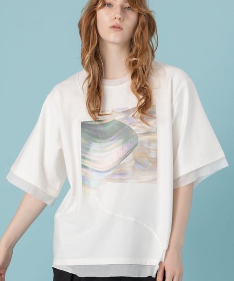 AULA AILA　アウラアイラ　SHELL PRINT T-SHIRT シェルプリントTシャツ　1251-08052