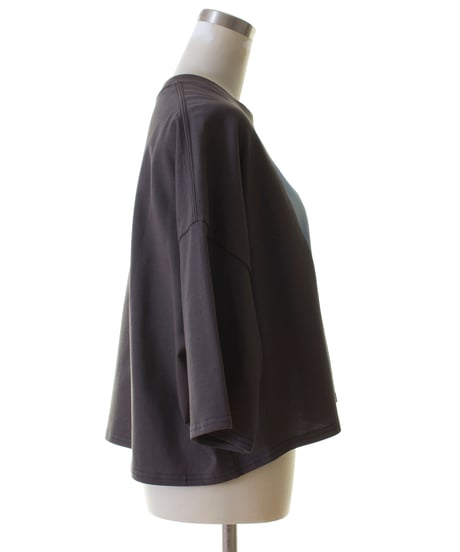 PASSIONE パシオーネ　ROBE　短丈フォトTシャツ　526980　2025新作