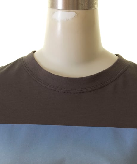 PASSIONE パシオーネ　ROBE　短丈フォトTシャツ　526980　2025新作