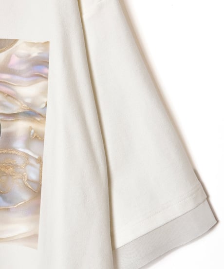 AULA AILA　アウラアイラ　SHELL PRINT T-SHIRT シェルプリントTシャツ　1251-08052