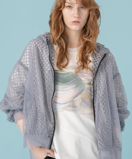 AULA AILA　アウラアイラ　SHELL PRINT T-SHIRT シェルプリントTシャツ　1251-08052
