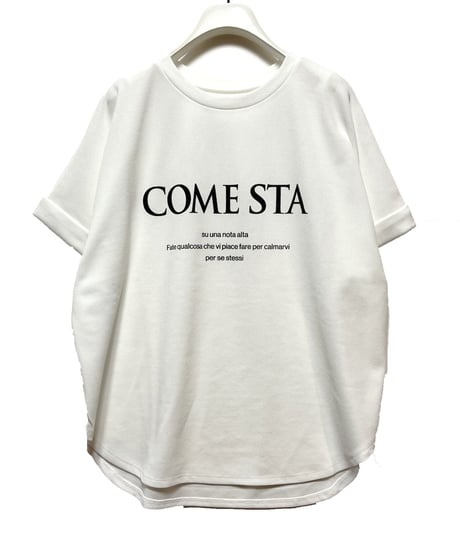 CHIGNON　シニヨン　ジョーゼットロゴT 8454-105kk