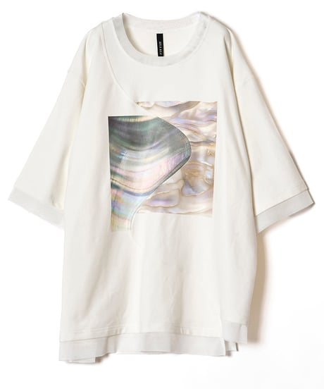 AULA AILA　アウラアイラ　SHELL PRINT T-SHIRT シェルプリントTシャツ　1251-08052
