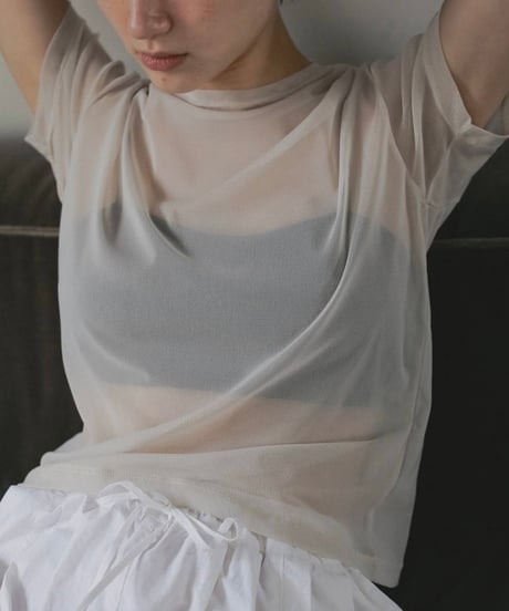 anuke アンヌーク　Sheer Tulle T-Shirts　62610633