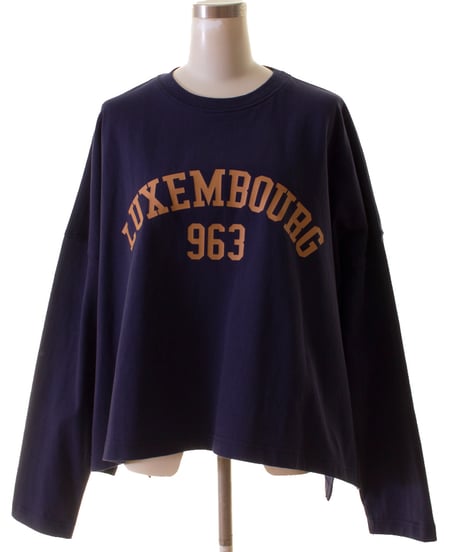 PASSIONE パシオーネ　カレッジロゴ ショート丈　長袖　Tシャツ　416959