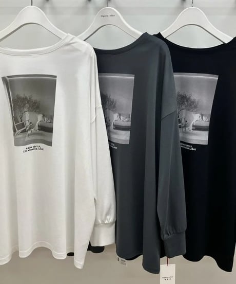 Dignite collier　ディニテコリエ 2WAYフォトTシャツ 80256304 本州送料無料！
