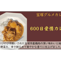 グルテンフリー600日愛情カレー　12個入り 送料無料(北海道沖縄を除く)