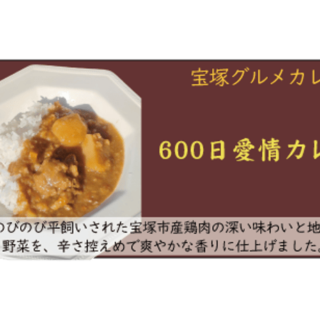 グルテンフリー600日愛情カレー　12個入り 送料無料(北海道沖縄を除く)
