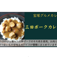 グルテンフリー三田ポークカレー　5個入り 送料無料(北海道沖縄を除く)
