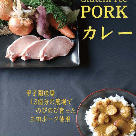 グルテンフリー三田ポークカレー　5個入り 送料無料(北海道沖縄を除く)