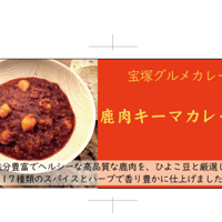 鹿肉キーマカレー　6個入り 送料無料(北海道沖縄を除く)
