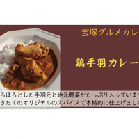 鶏手羽カレー　4個入り 送料無料(北海道沖縄を除く)