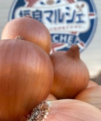 2026年産　玉ねぎ　10kg