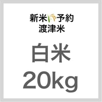 【新米予約🌾今秋産】「渡津米」白米20kg《高級日本料理店採用》・農薬化学肥料70%減