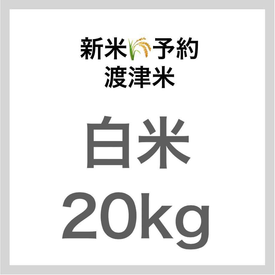 60b6058d0e24030cfa09295f